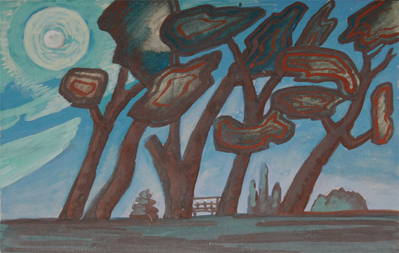 Caven Atkins Willowdale Park Toronto at Night