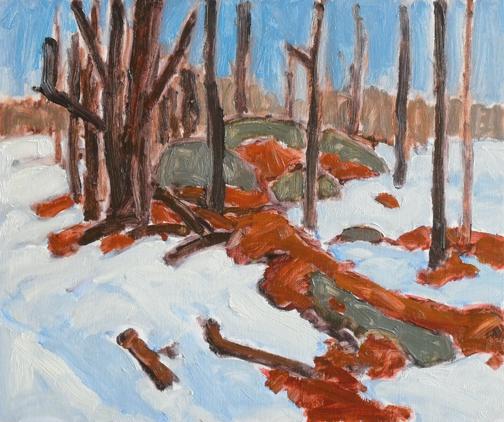 Barry Hodgson - March Snow, Arnstein