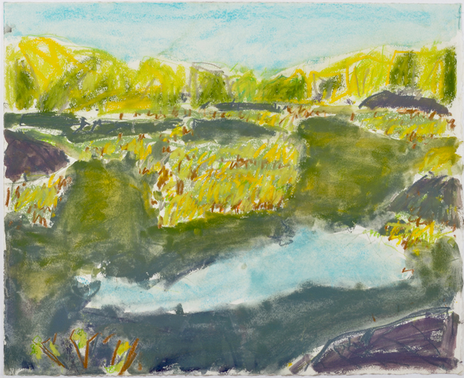 Artist: Barry Hodgson | Title: Open Marsh, Kasshabog