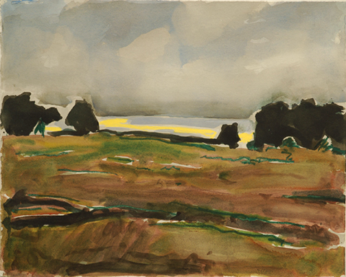 Barry Hodgson Field, Gascoigne Cove