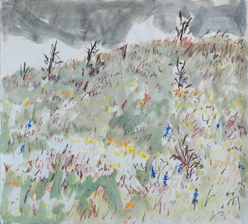 Barry Hodgson Wildflowers, Westover