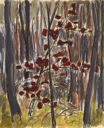 Barry Hodgson Berry Track Oak