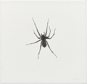 DAVID MICHAEL SCOTT Black Spider 