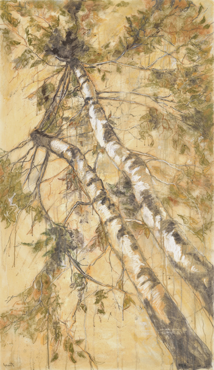 Artist: Jane Everett Drawing: Stand of Birch I