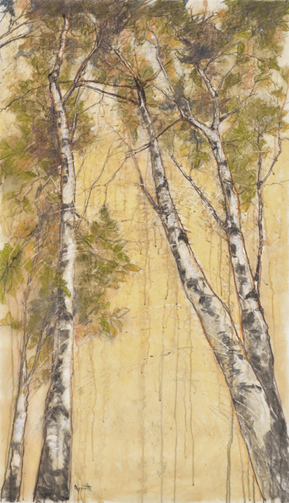 Artist: Jane Everett Drawing: Stand of Birch II