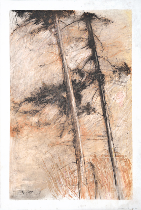 Artist: JANE EVERETT | Title: Wind Rush II