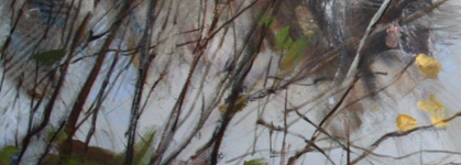 Jane Everett | Slipstream | November 2 - 21