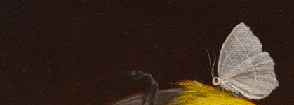 Taxonomic Kingdom | Group Exhibition | January 17 - February 2